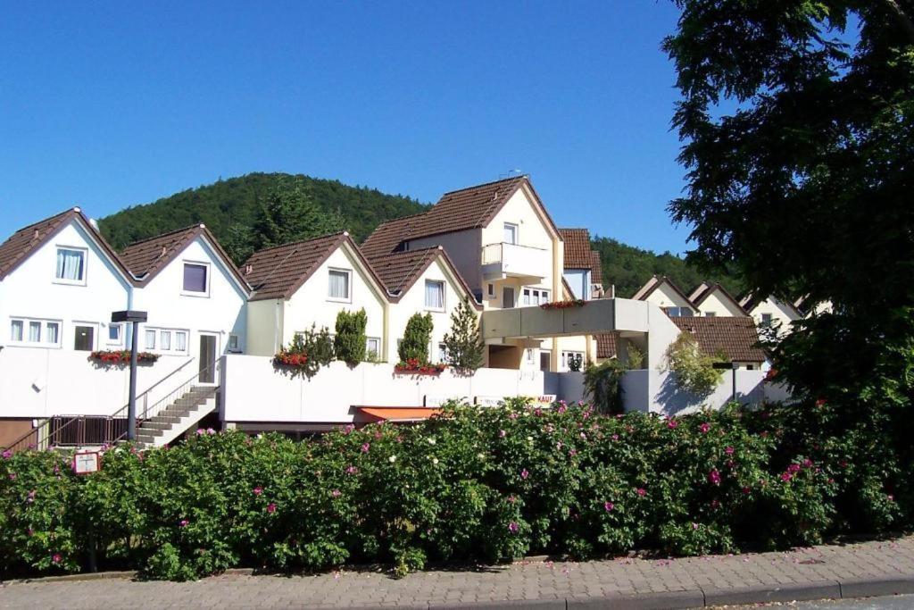 Seeblick Geniessen In Schoener Fewo Am Edersee Scheid  Εξωτερικό φωτογραφία